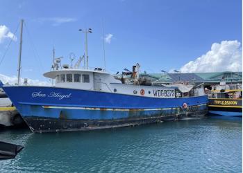 SEA ANGEL (VID: 10582) | Record of Fishing Vessels